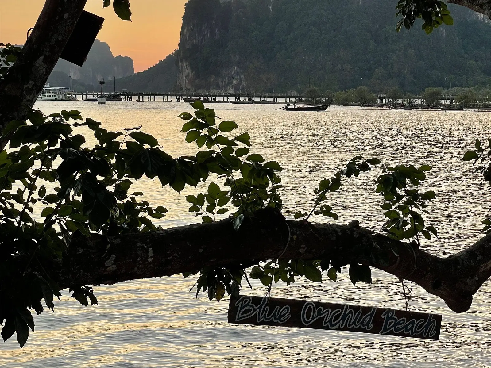 The hanging Blue Orchid Beach sign at sunset